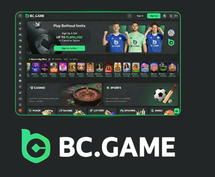 Understanding the BC.Game App Login Process -241649432